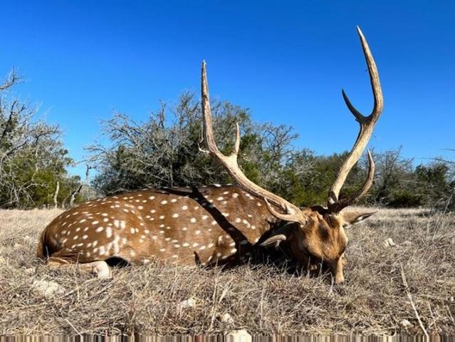 Farm for sale in Edwards, Texas