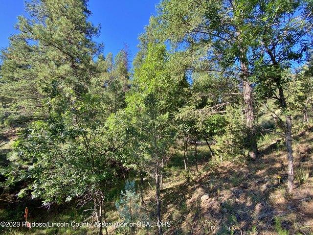 Land for sale in Alto, New Mexico