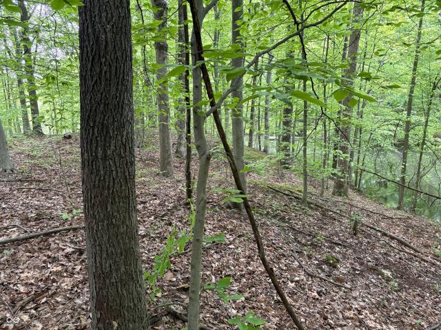 Land for sale in Indiana