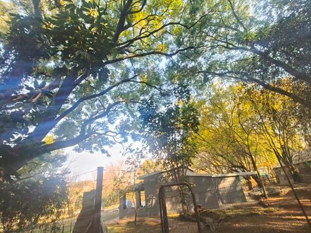 Property for rent in Tlhabane, North West