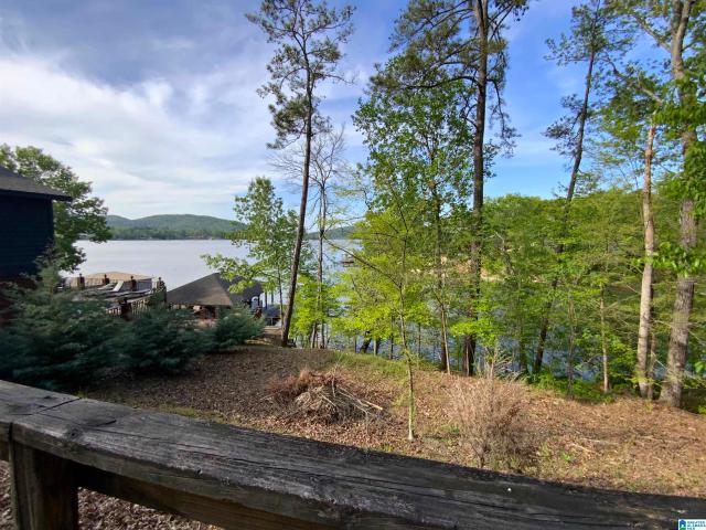 Land for sale in Ohatchee, Alabama