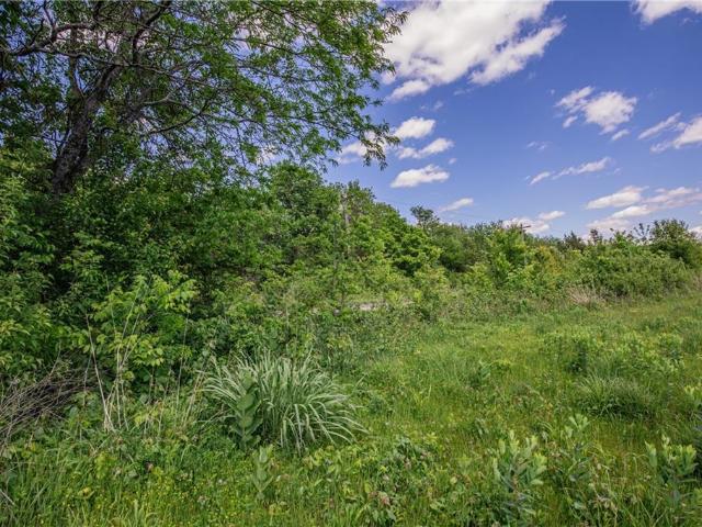 Land for sale in Kansas