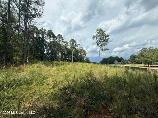 Land for sale in Canton, Madison County