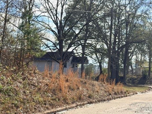 Land for sale in Luverne, Alabama