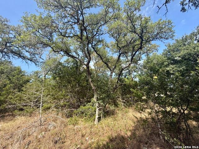 Land for sale in Blanco, Blanco County