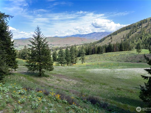 Land for sale in Twisp, Washington