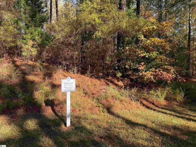 Land for sale in Cross Hill, South Carolina