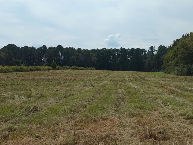 Commercial for sale in Pineview, Georgia