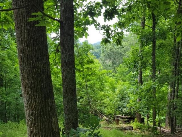 House for sale in Avery, North Carolina