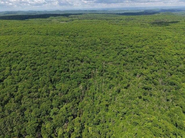 Land for sale in Hampden, Massachusetts