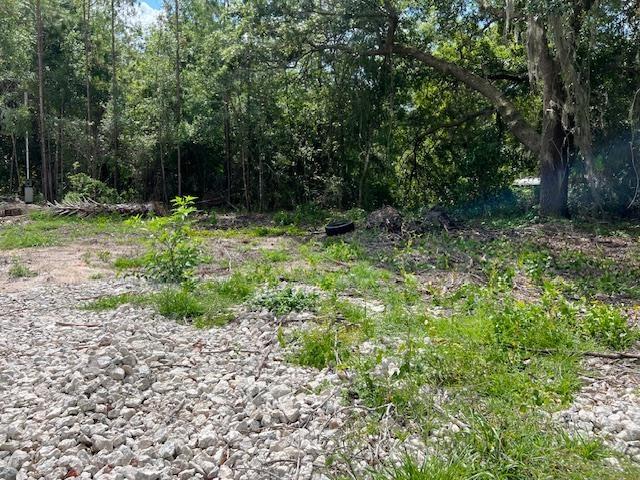 Land for sale in Palatka, Florida