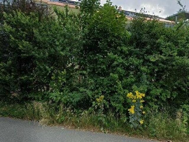 Apartment mieten in Solothurn