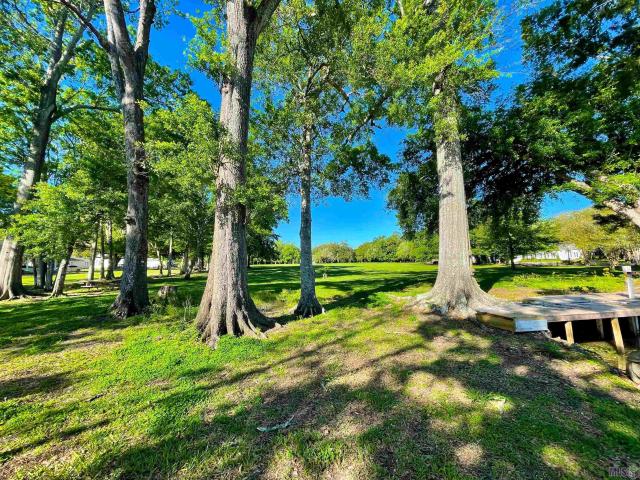 Land for sale in Franklin, Louisiana