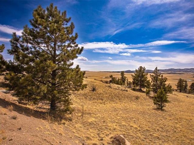 Property for sale in Fairplay, Colorado