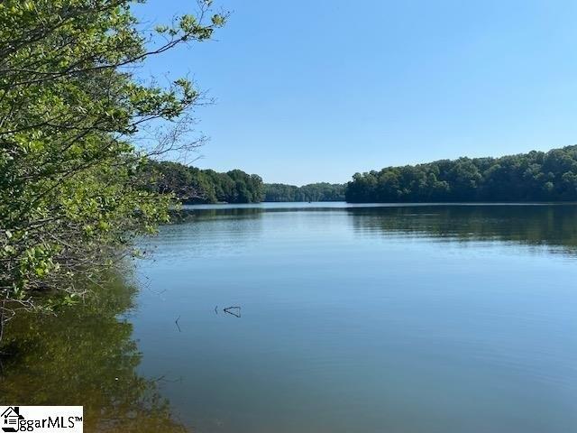 Land for sale in Laurens, South Carolina