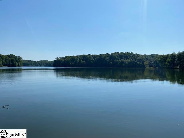 Land for sale in Laurens, South Carolina