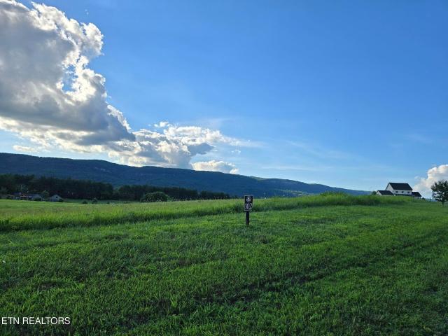 Land for sale in Tennessee