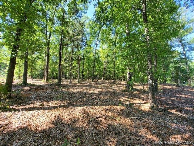 Land for sale in Enterprise, Coffee County