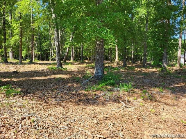 Land for sale in Enterprise, Coffee County
