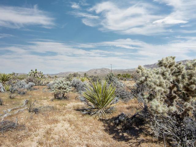Land for sale in Joshua Tree, California