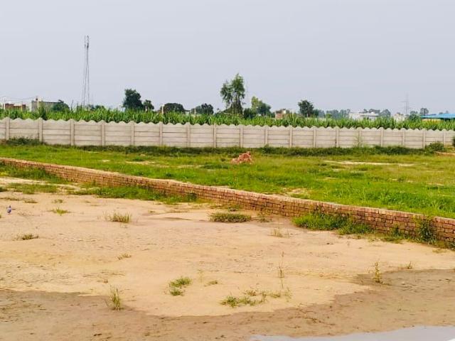 Land for sale in Jharli, Arunachal Pradesh