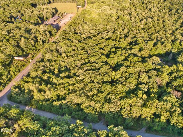 Land for sale in Beach Lake, Pennsylvania