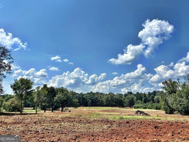 Land for sale in Forsyth, Georgia