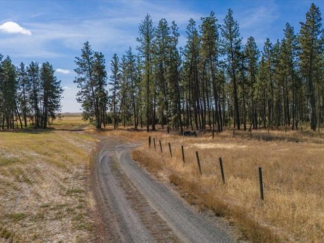 Land for sale in Spangle, Washington