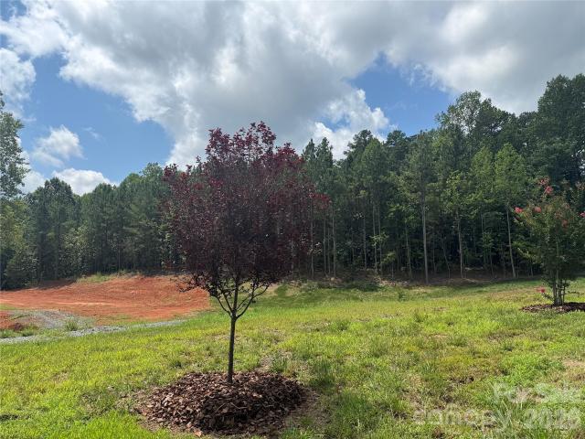 Land for sale in Mount Pleasant, North Carolina