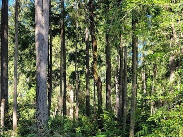 Land for sale in Anderson Island Land for sale in Anderson Island