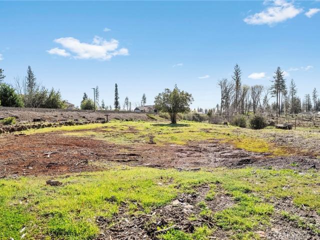 Land for sale in Butte, California