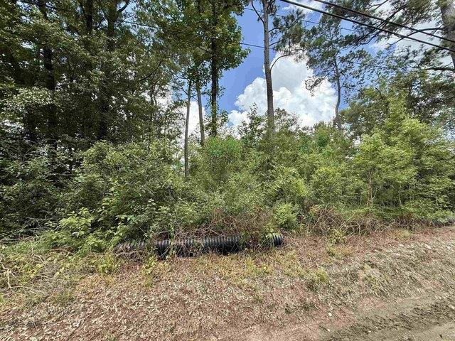 Land for sale in Vidor, Texas