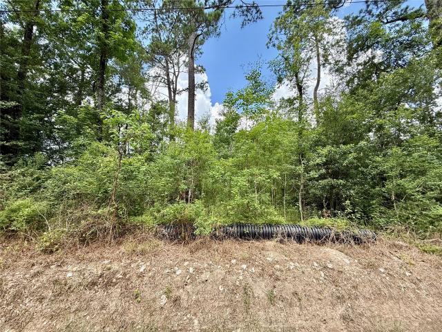 Land for sale in Vidor, Texas