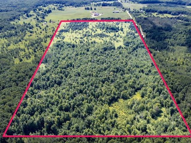 Land for sale in Rose City, Michigan