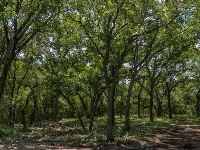 Land for sale in Hood, Texas