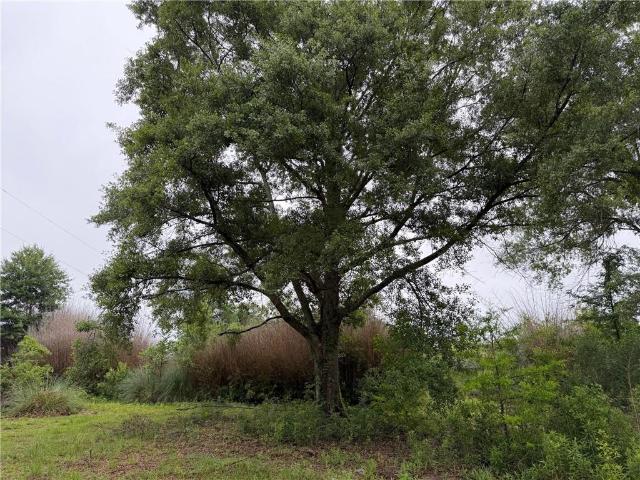 Land for sale in Hammond, Tangipahoa Parish