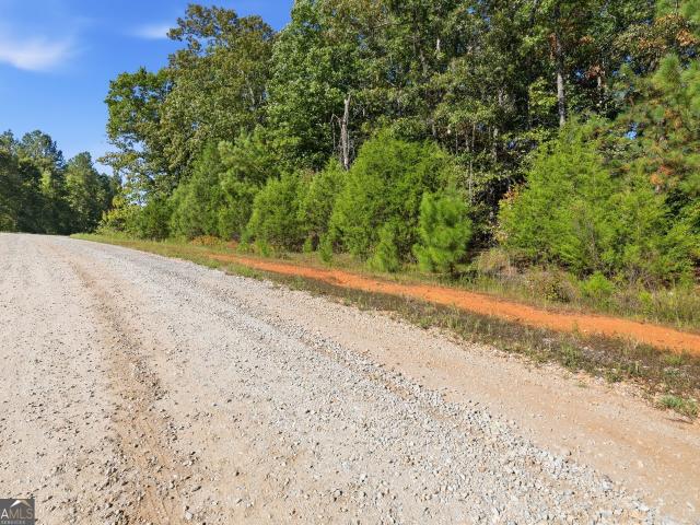 Land for sale in Elberton, Elbert County