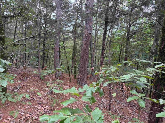 Land for sale in Ark