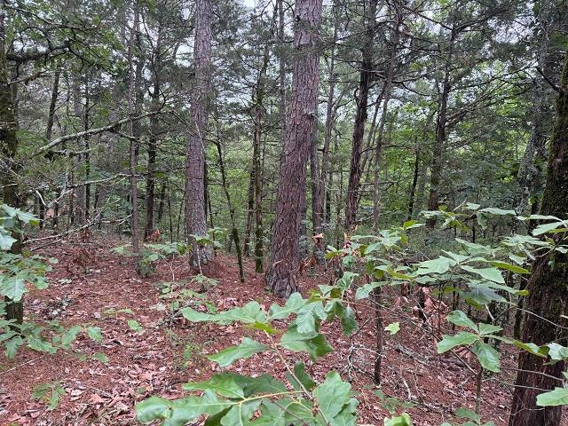 Land for sale in Ark
