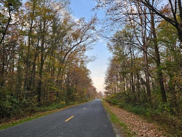 Land for sale in Sudlersville, Maryland