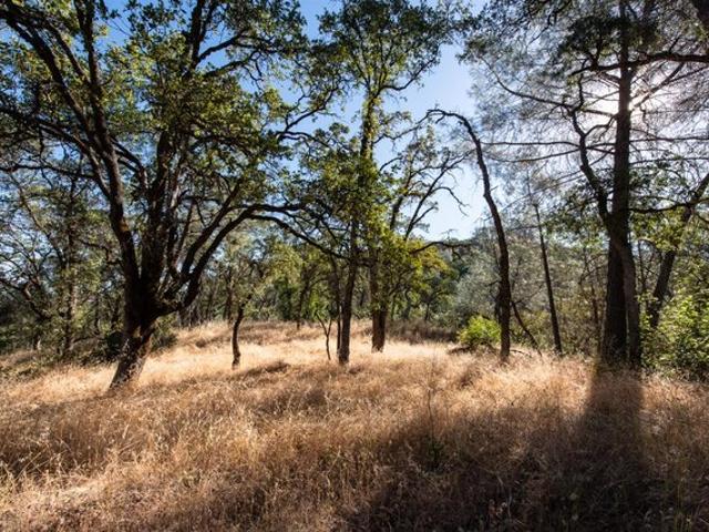 Land for sale in Placerville, California