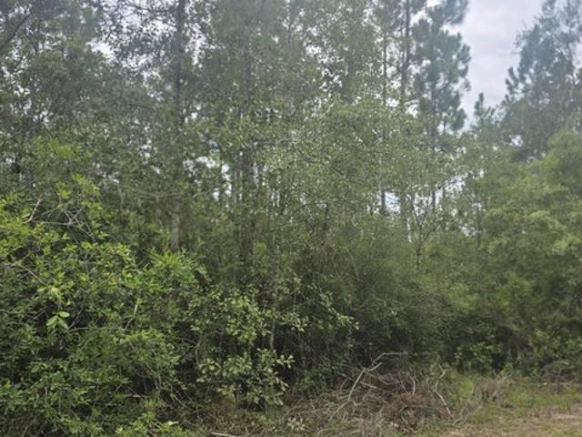 Land for sale in Florida