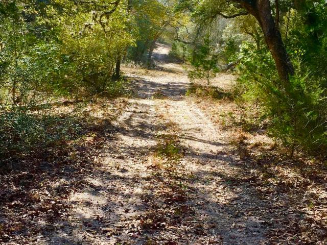 Land for sale in Hallettsville, Texas