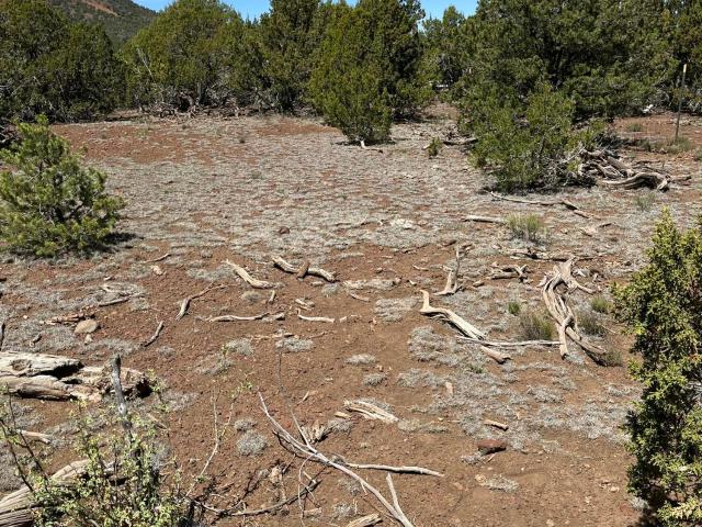 Land for sale in Williams, Arizona