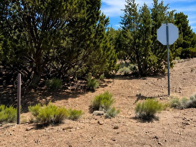Land for sale in Williams, Arizona