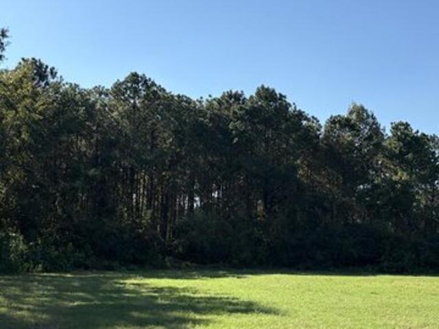 Land for sale in Whigham, Grady County