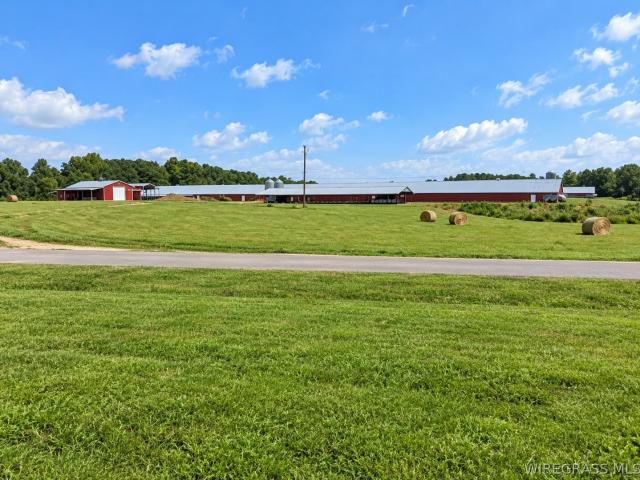 Farm for sale in Frisco, Brundidge