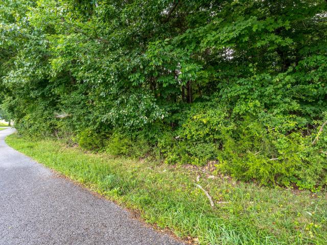 Land for sale in Tennessee