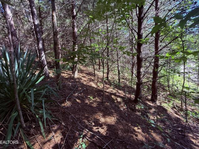 Land for sale in Mayview Heights - Windstone, Powell