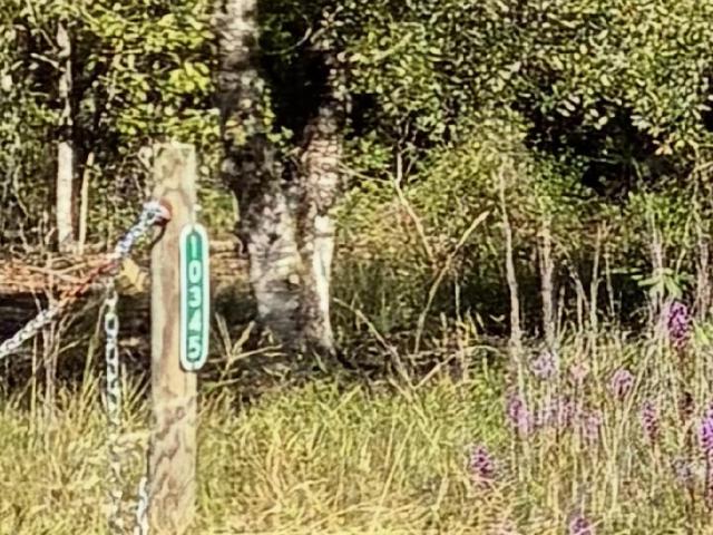 Property for sale in Saint Johns, Florida